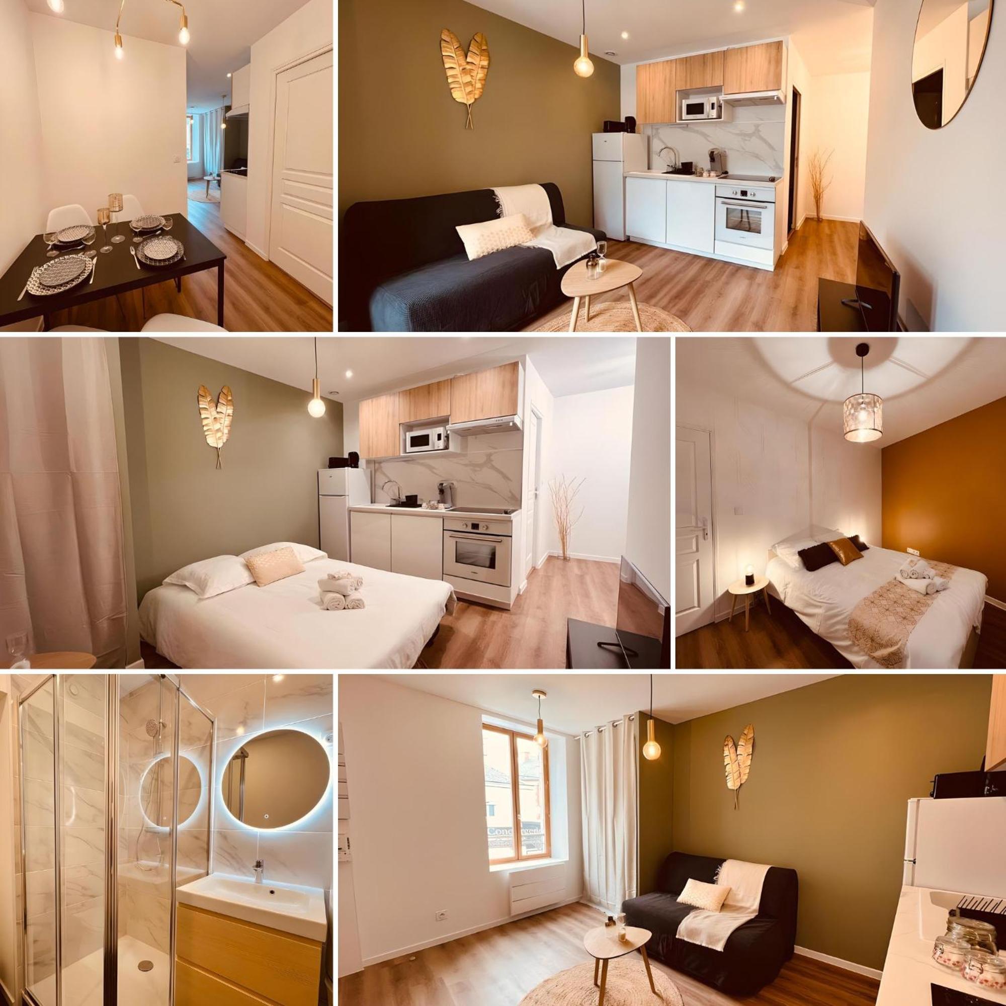 Le Golden - Home Homy Vierzon Kültér fotó